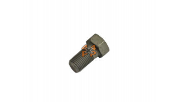 BOULON DE FIXATION DE L'ÉTRIER DE FREIN ARRIÈRE (CHAQUE)  pour  TOYOTA  HDJ100 - 4.2TD 1998-8/2007  Freinage 