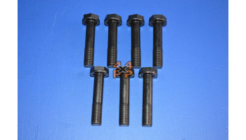 VOLANT MOTEUR BOULONS FIXATION (7) BOITE MANUEL  pour  MITSUBISHI  PAJERO  V88 - 3.2did 9/2006-> court 