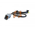 SONDE ANGLE ARBRE A CAMES