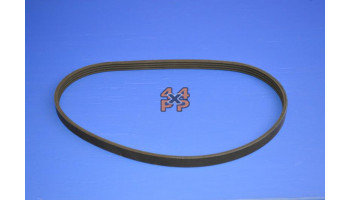 COURROIE DIRECTION ASSISTEE  pour  NISSAN  PATHFINDER  R51 - 2.5TD 1/2005-> 