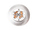 DISQUE / ROTOR DE FREIN AVANT (300MM) VENTILÉ