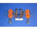 KIT BAGUES COMPLET TRIANGLE AVANT INFERIEURE (1 COTE)