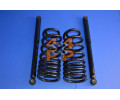 KIT SUSPENSION ARRIERE RENFORCE